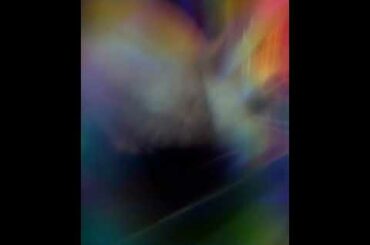 Bunny from Hogwarts school of witchcraft and wizardy