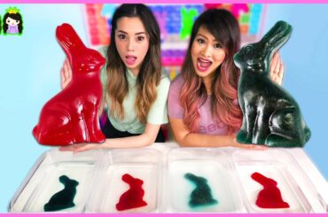 Easy DIY Science Experiments Giant Gummy Bunny Osmosis