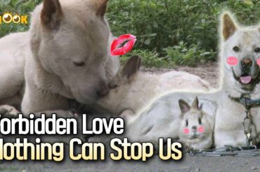 Cutest Couple Ever! Bunny ❤ Doggy!! Their Inseparable Love