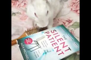 My bunny wants to read this novel at one go❤❤