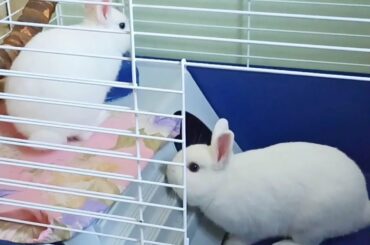 Bunny Neytiri gave Jack a second chance