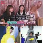Rosekook-Chaeyoung complimented the cute rabbit and always chose the rabbit