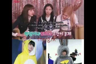 Rosekook-Chaeyoung complimented the cute rabbit and always chose the rabbit
