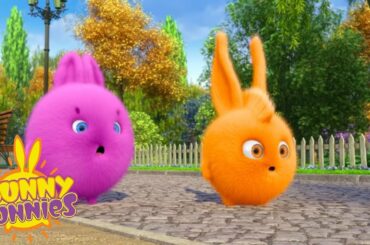 SUNNY BUNNIES - All the Wishes in the World | Season 1 | Cartoons for Children