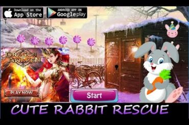 Games4King G4K - Cute Rabbit Rescue Walkthrough 2018