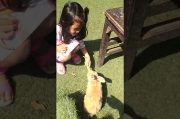 Look isthis bunny is so cute