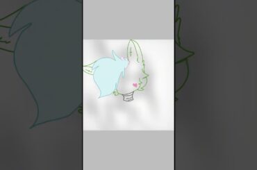 A gift for Springy the cute bunny