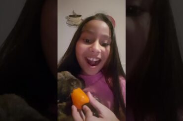 Feeding my cute rabbit😍