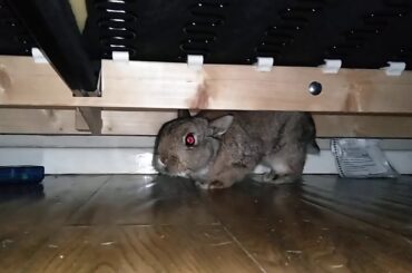 My baby     so cute  I just want to cry 😭😭awwww so cute