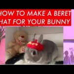 How To Make A Beret Hat For Your Bunny