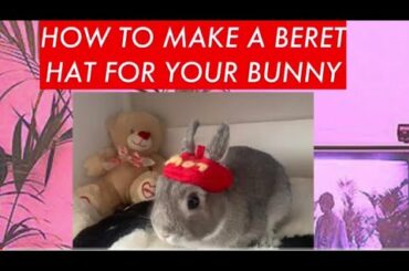 How To Make A Beret Hat For Your Bunny