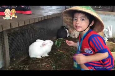 Cute Friendship Babies and Rabbits    Baby and Bunny Rabbit playing together Compilation