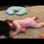 Dog protecting and showing love to Babies    Cute Babies and Pets Compilation