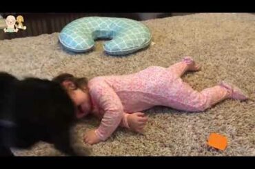 Dog protecting and showing love to Babies    Cute Babies and Pets Compilation