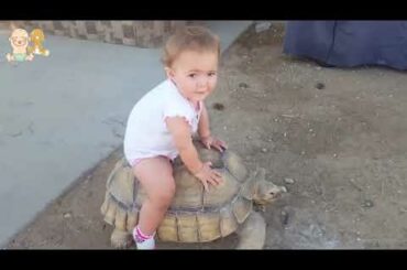 Cute Babies and Tortoise become friends    Funny Babies and Pets Compilation