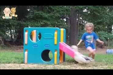 Baby and Duck funny moment    Cute Babies and Pets Compilation