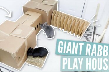 DIY Giant Rabbit Playhouse