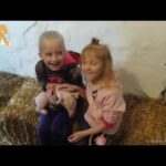 Kids & Pig fun and Fails Compilation    Funny Babies and Pets Videos