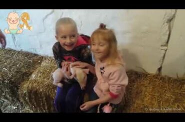 Kids & Pig fun and Fails Compilation    Funny Babies and Pets Videos