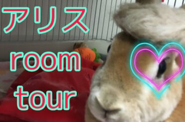 【うさぎ】アリスのルームツアー♪行ってみよーう😁💕rabbit　room tour❣️