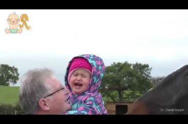 Babies Kids Become friend with Horses    Funny and Cute Babies and Pets Compilation