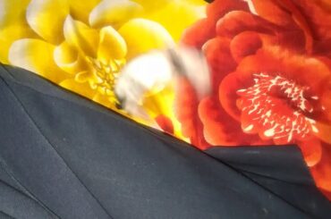 8 days old baby rabbits | caring tips | cute