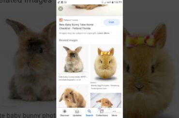 Wotch this video is so cute