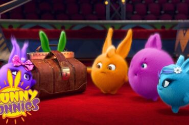 SUNNY BUNNIES - The Mystery Suitcase | Season 1 | Cartoons for Children