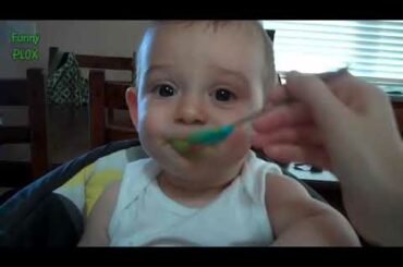 Funny Babies React to Vegetables   Funny Baby Videos
