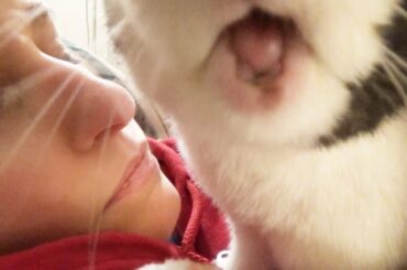 WHAT IS OWNING A RABBIT LIKE?