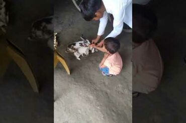 Rabbit playing with baby