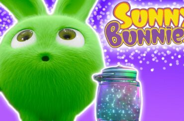 Cartoons ★ Sunny Bunnies - FIREFLIES - 1 Hour Special ★ Cartoons for Babies