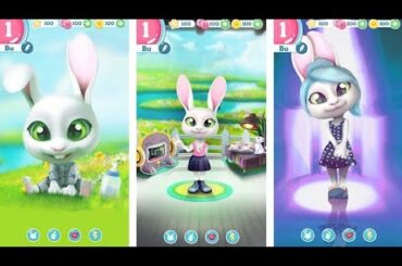 Cute pet - Bu the baby rabbit