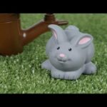 Cute Bunny Rabbit in Real Life Learning Videos for Children
