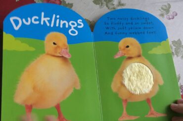 Baby Touch And Feel Easter Bunny Read Aloud