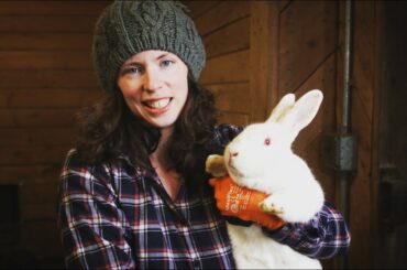 WILL OUR RABBIT COLONY ACCEPT THIS NEW WHITE BUNNY?