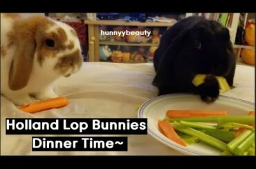 Bunnies Eating Their Dinner