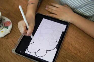 procreate｜painting process｜cute rabbit