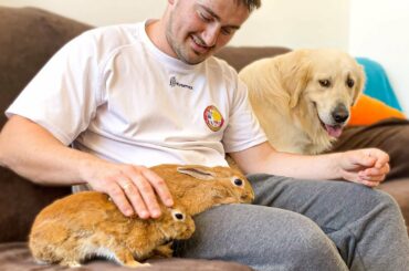 WE GOT A NEW RABBIT! Surprise for my Dog Bailey and Rabbit Sam!