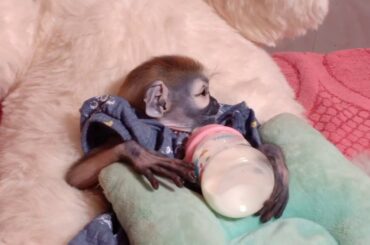 Vicky Cute Baby playing so lovely