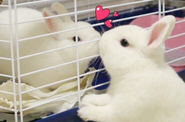 The first kiss of Neytiri and Jake 😍