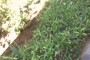 My little rabbit 🐇 Squeak