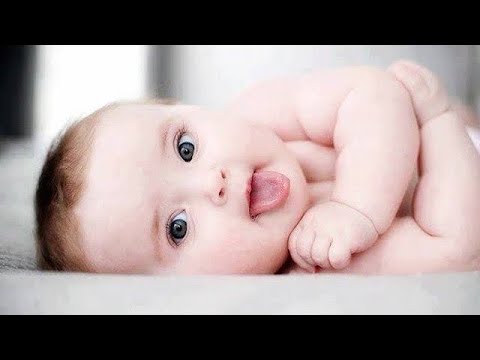 Cute Baby Status Cute Baby Song Cute Baby Video Cute Baby Animals Cute Baby Tik Tok Video Cute Rabbit Videos