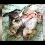 Babies Cuddling With Bunnies is Heaven on Earth
