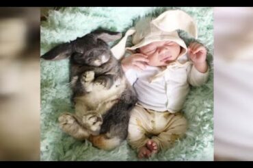 Babies Cuddling With Bunnies is Heaven on Earth