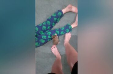 Baby Bunnies running around for 30 minutes #4