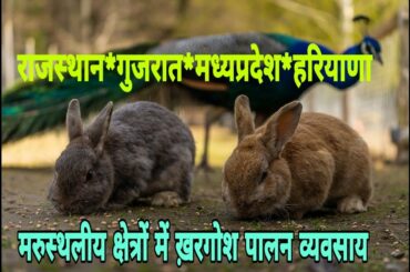 #Rabbit Farming #India #Howtostartrabbitfarm #GST free buisness