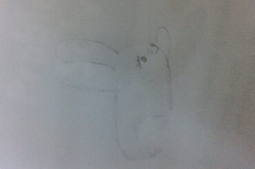 How to draw a rabbit and a cute slug