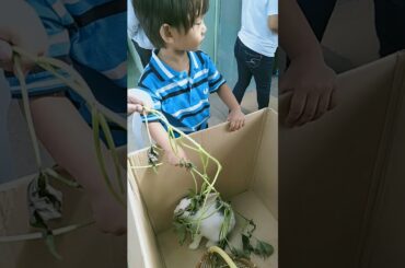 Cute kiddy feeding rabbit#happy life#mukbang rabbit.