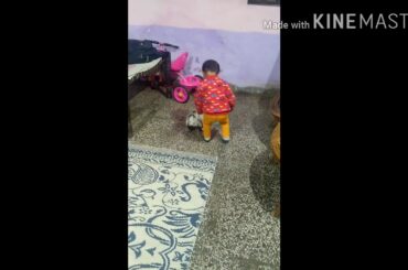 Funny video baby or  rabbit